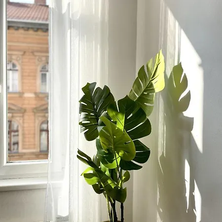 Eotvos 25 * Budapest