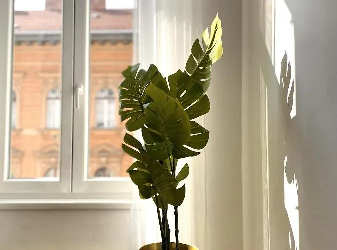 Apartment Eotvos 25 Budapest